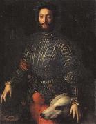 Agnolo Bronzino Portrait of Guidubaldo della Rovere oil painting on canvas